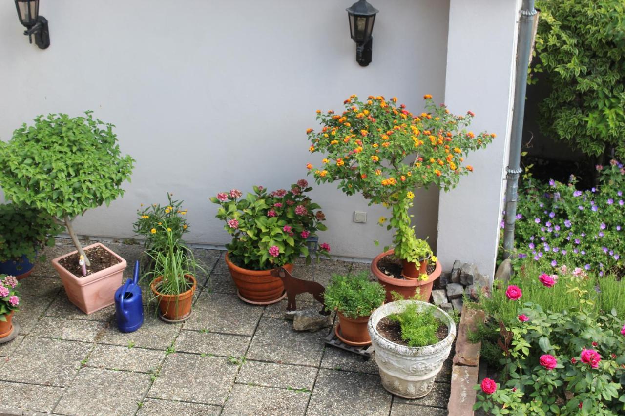 Apartament Auszeit Im Rheingau Eltville am Rhein Zewnętrze zdjęcie